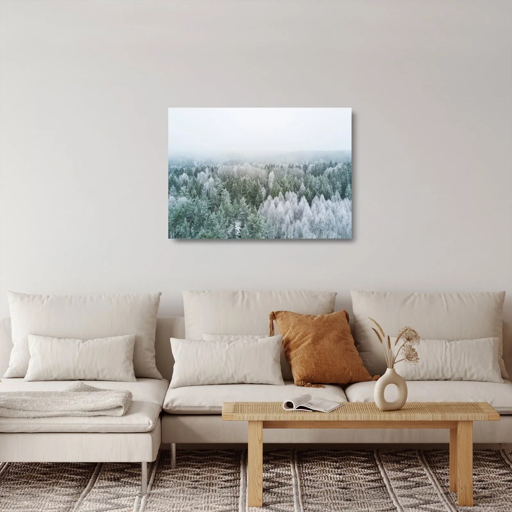Obraz na szkle - Ośnieżone szczyty lasów (70x50 cm)