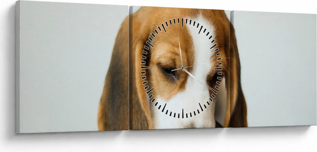 Obraz Beagle (z zegarem) (90x30 cm)