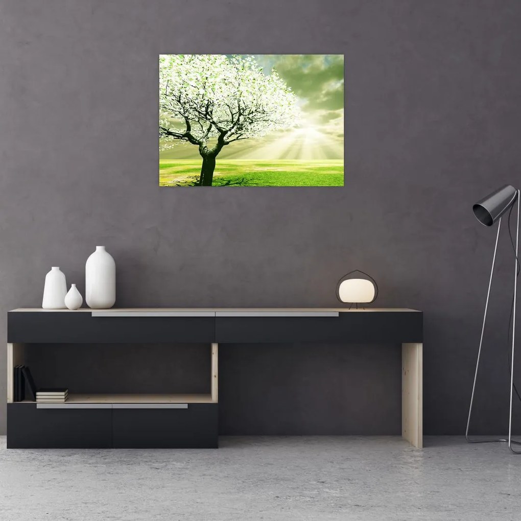 Obraz na szkle - kwitnące drzewo (70x50 cm)