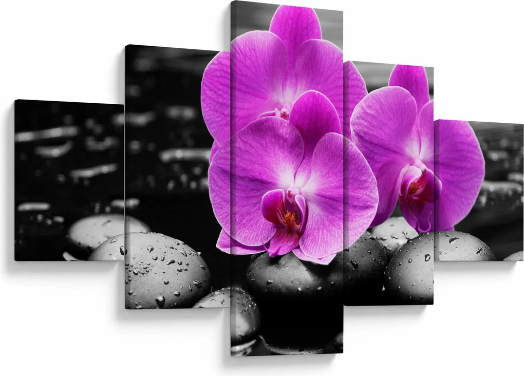 Obraz - Fioletowe orchidee (125x70 cm)
