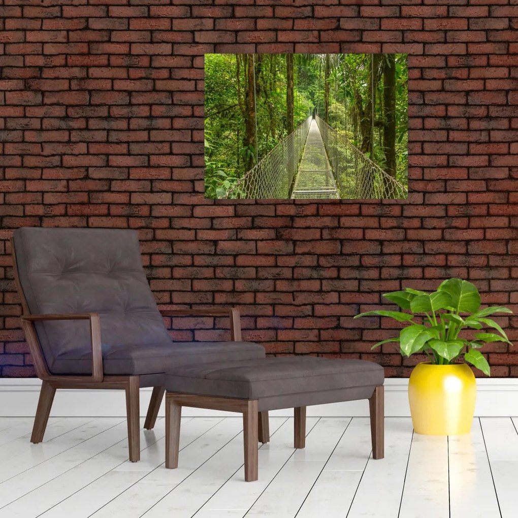 Obraz - Most wiszący (70x50 cm)