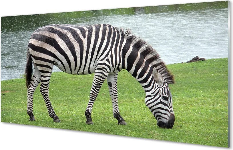 Szkło do Kuchni na Ścianę Portret Zebry w Paski