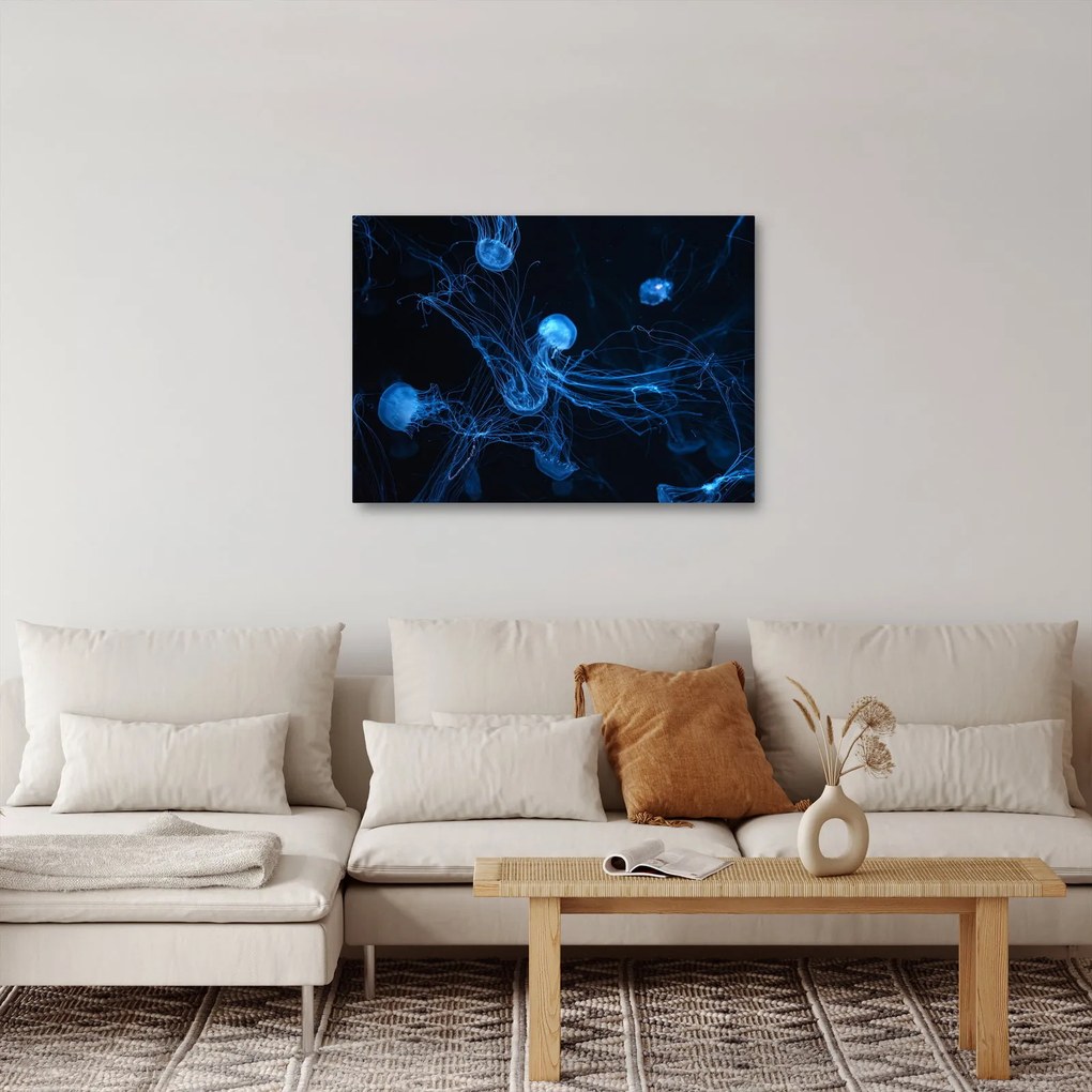 Obraz - Meduza (70x50 cm)