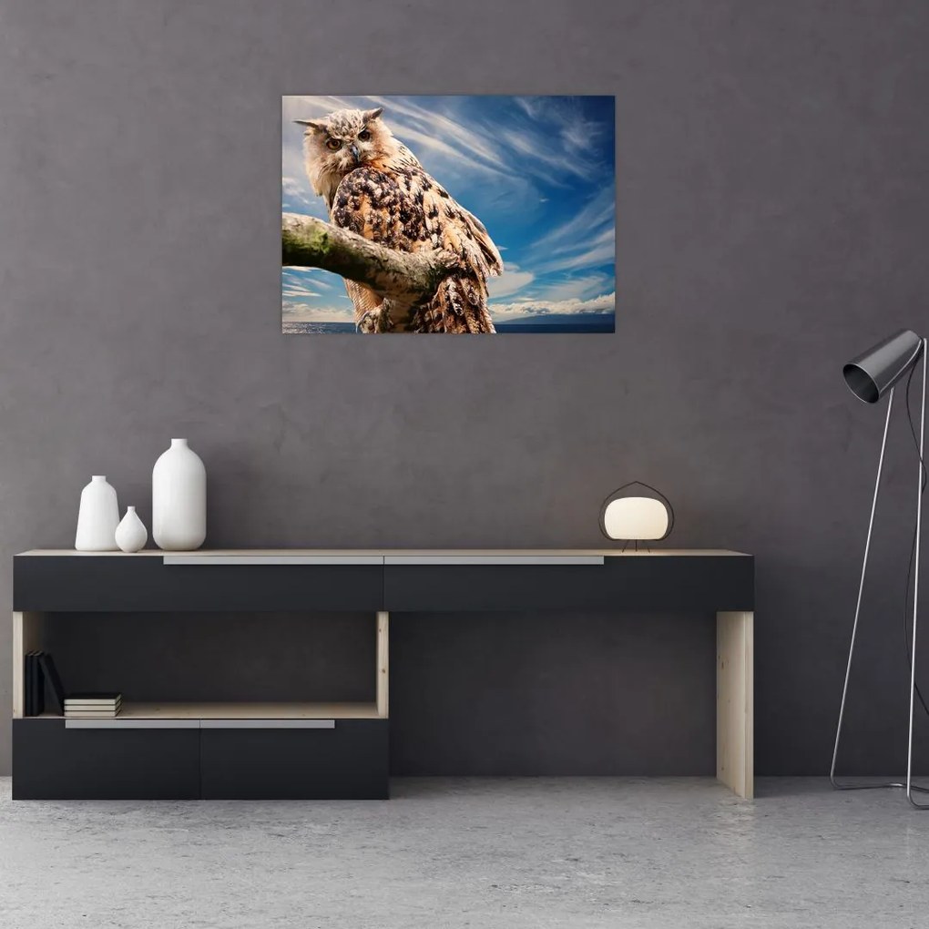 Obraz sowy (70x50 cm)