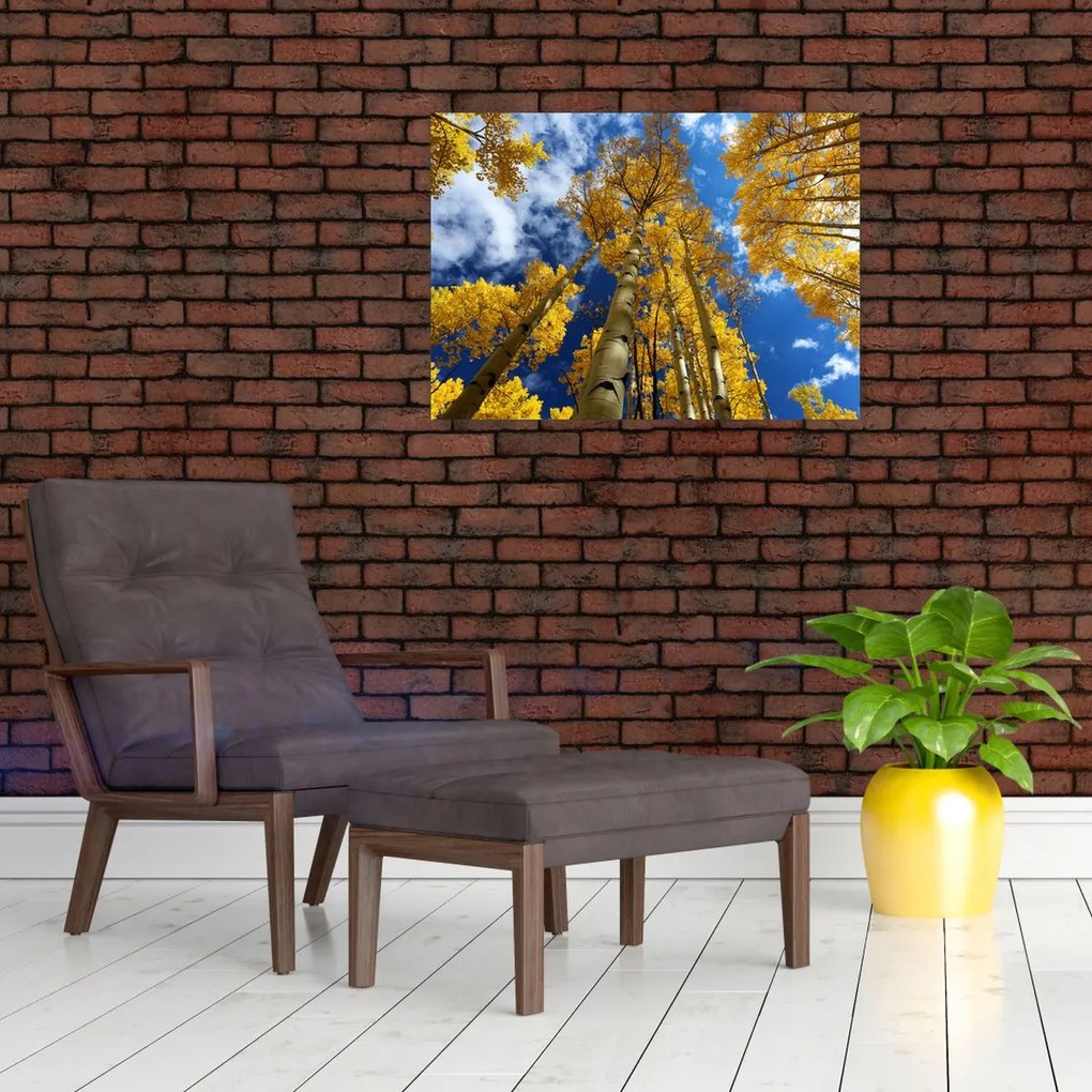 Obraz na szkle - Aspen (70x50 cm)