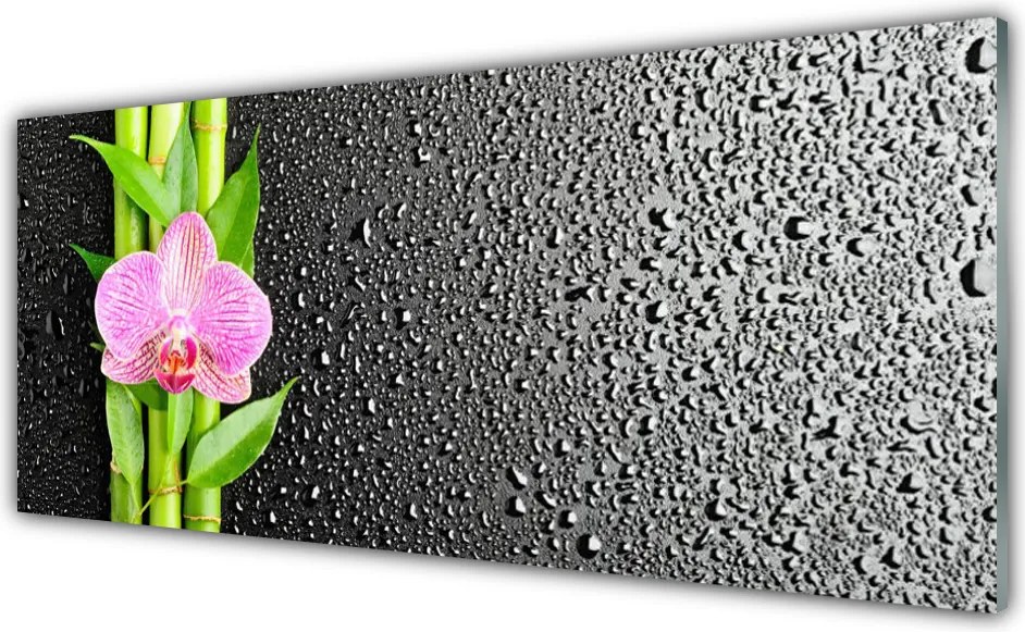 Panel Kuchenny Pędy Bambusa W Rozkwicie