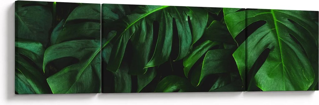 Obraz liści Monstery (170x50 cm)