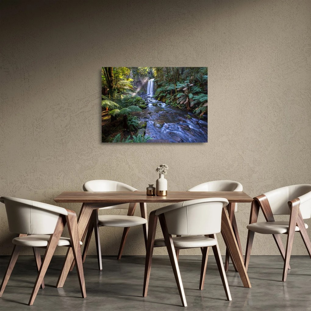 Obraz na szkle australijskiego lasu deszczowego (70x50 cm)