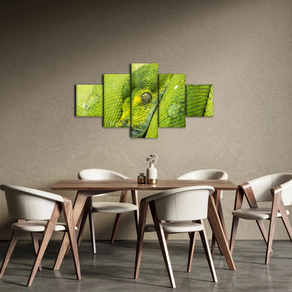 Obraz węża (125x70 cm)