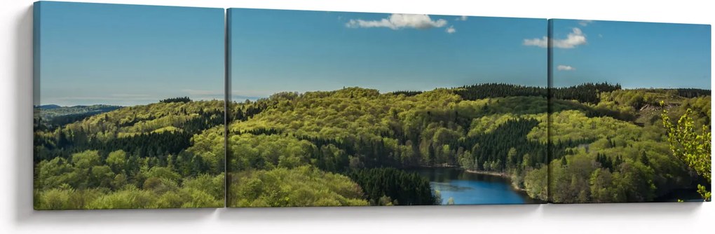Obraz - Jezioro w lesie (170x50 cm)