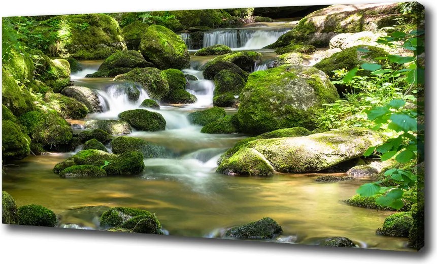 Foto obraz canvas Wodospad