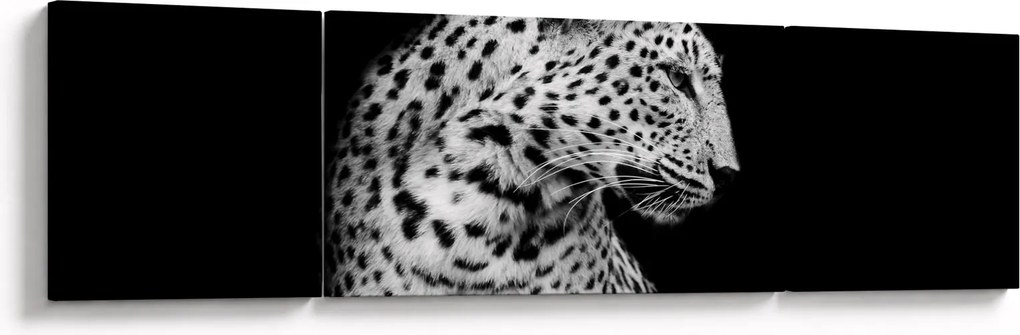 Obraz - Lampart (170x50 cm)