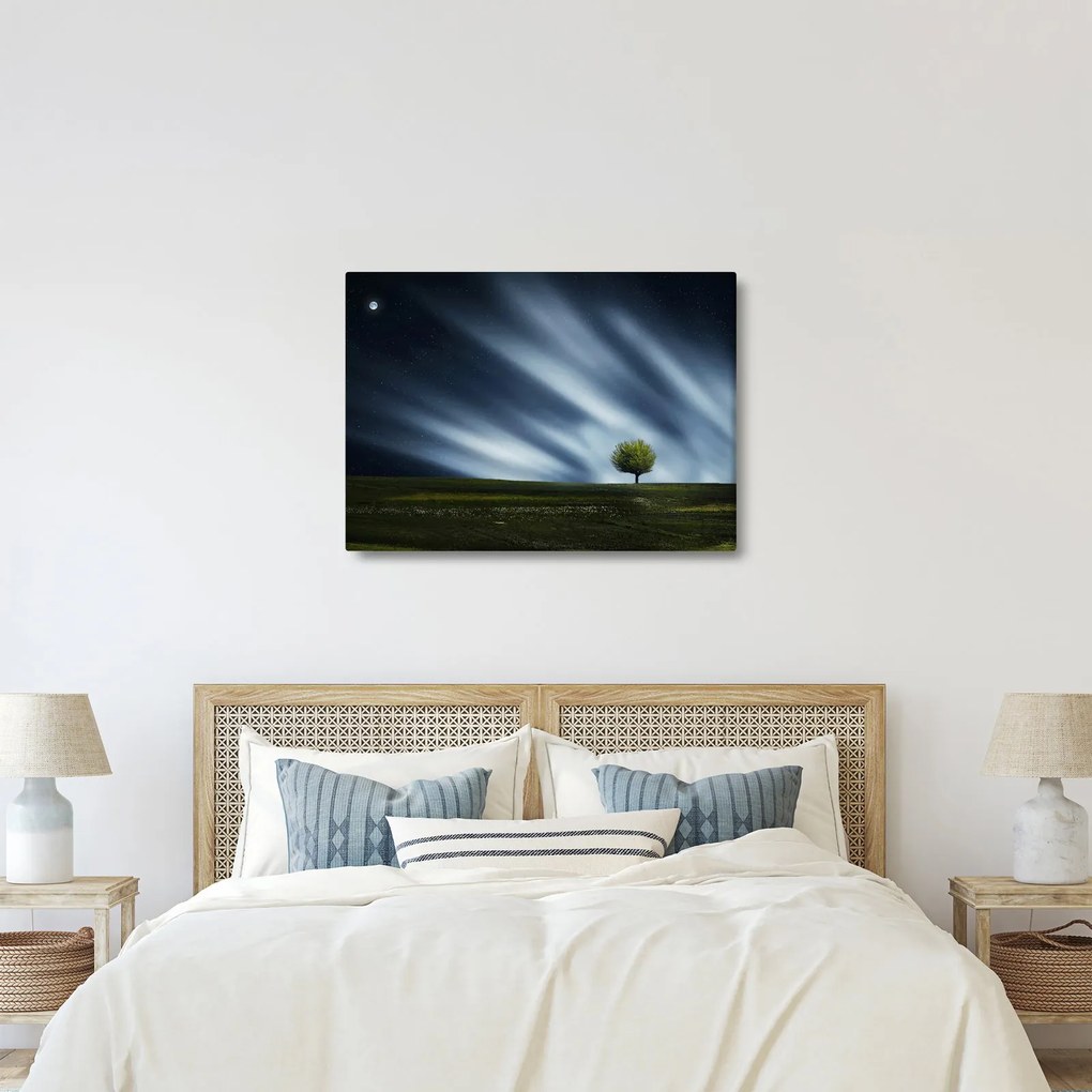 Obraz zorzy polarnej nad wrzosowiskami (70x50 cm)