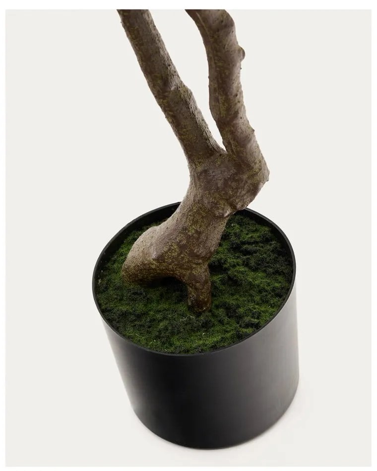 Sztuczna roślina (wysokość 180 cm) Pachira – Kave Home