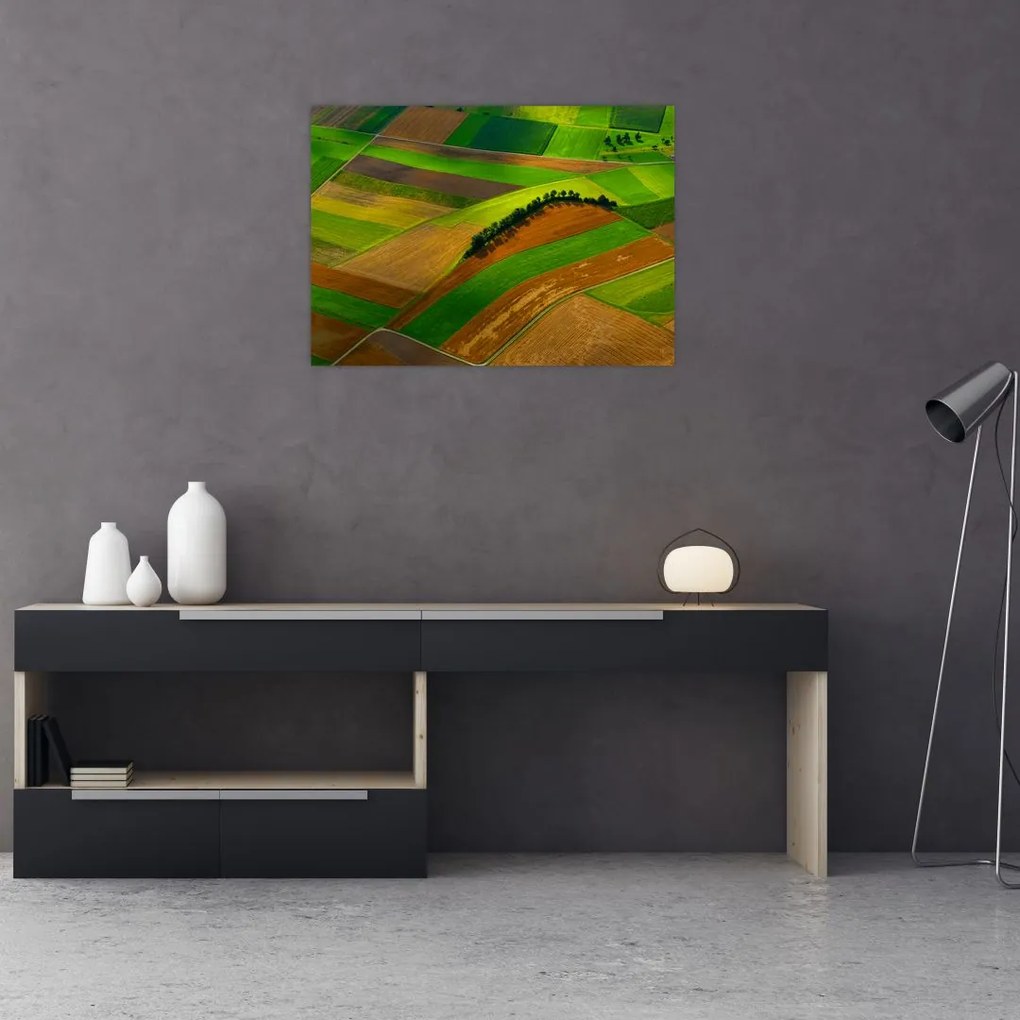 Obraz - Pola, łąki (70x50 cm)