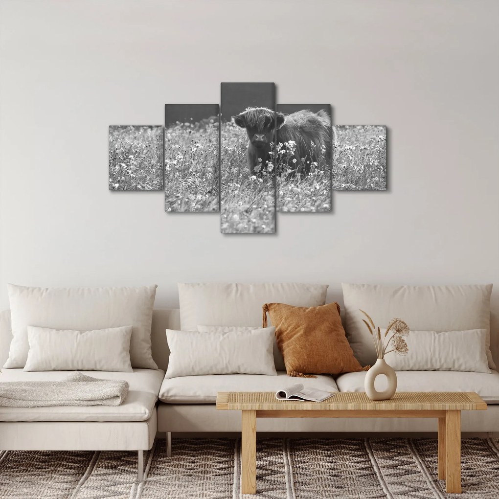 Obraz - Szkocka krowa 5, czarno - biały (125x70 cm)