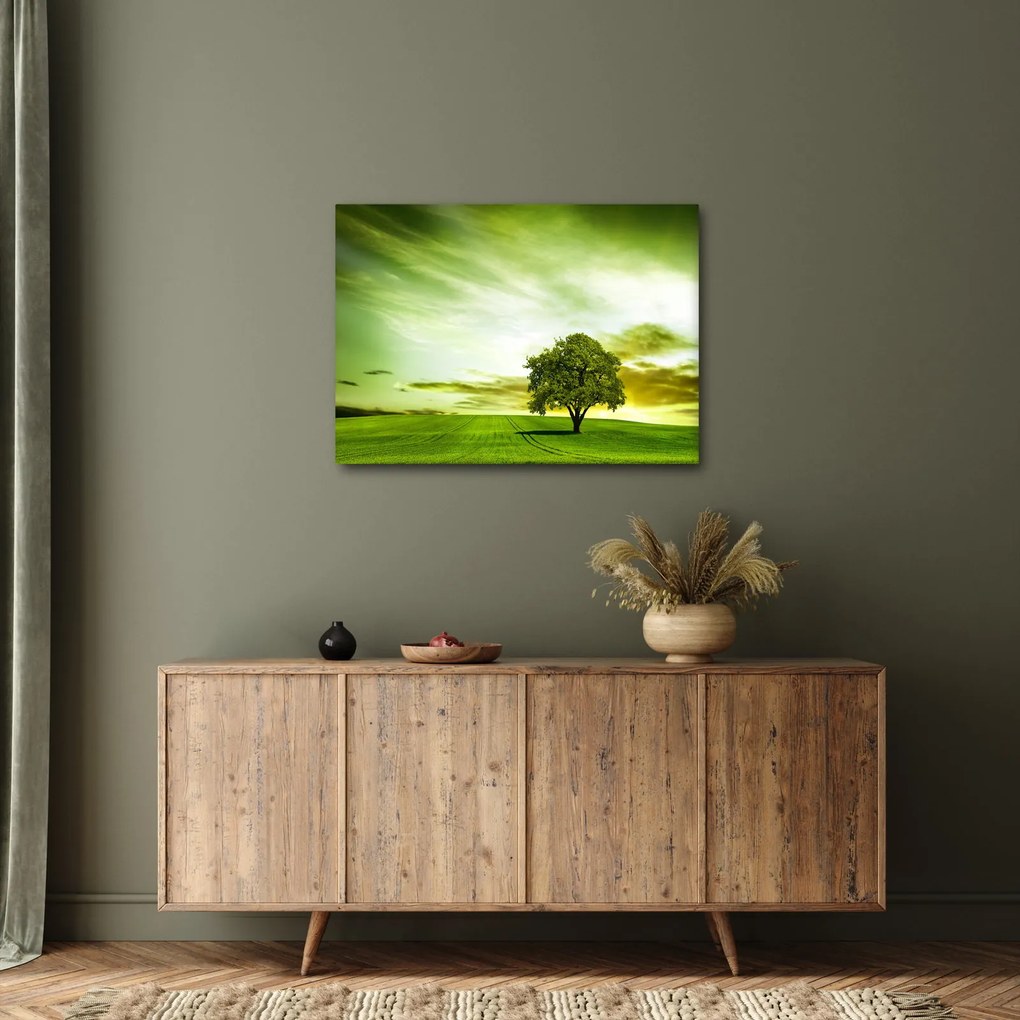 Obraz - Drzewo życia (70x50 cm)