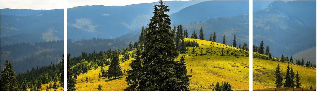 Obraz - Górska łąka (170x50 cm)