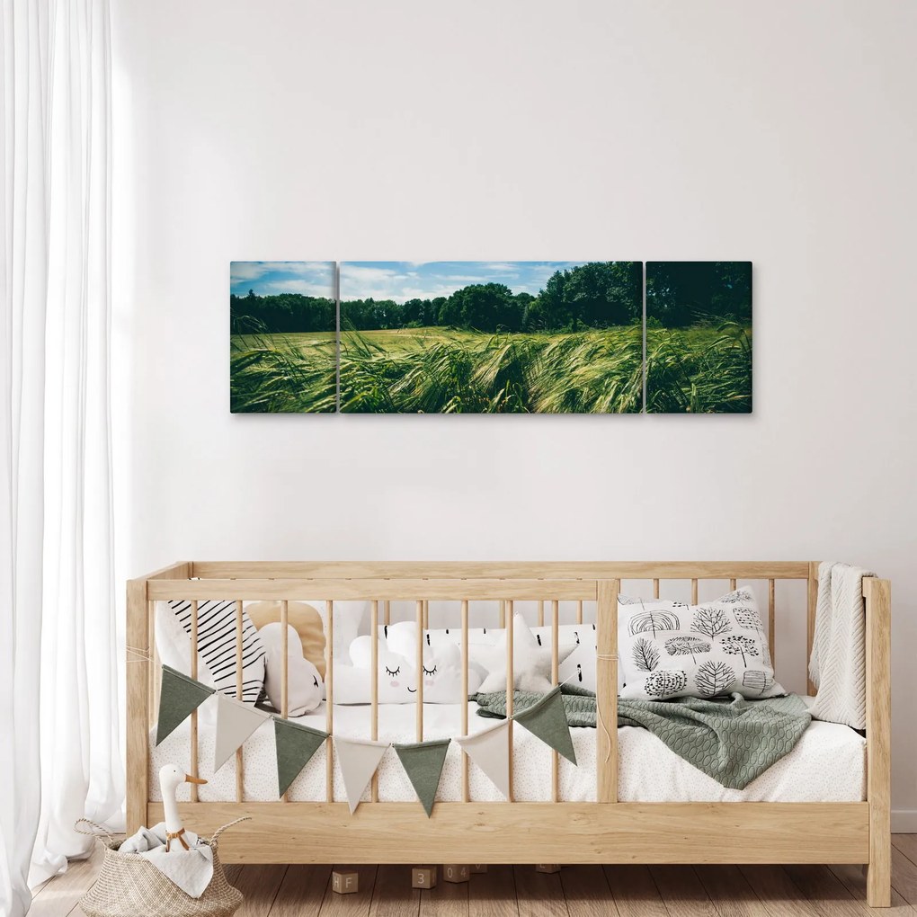 Obraz łąki i lasu (170x50 cm)