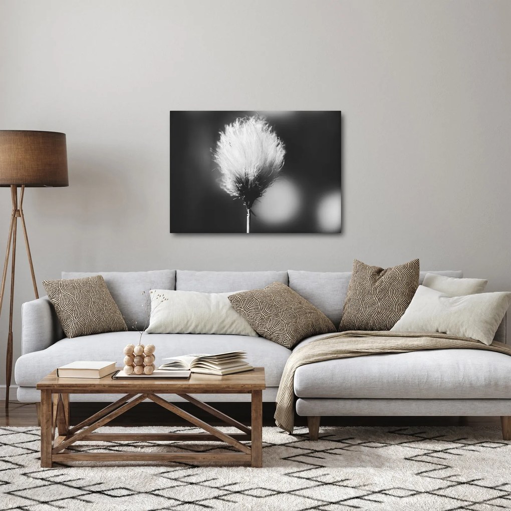Obraz - Czarno-biała trawa bawełniana (70x50 cm)