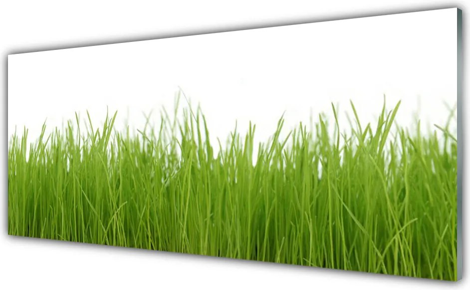 Panel Szklany do Kuchni Soczysta Zielona Trawa