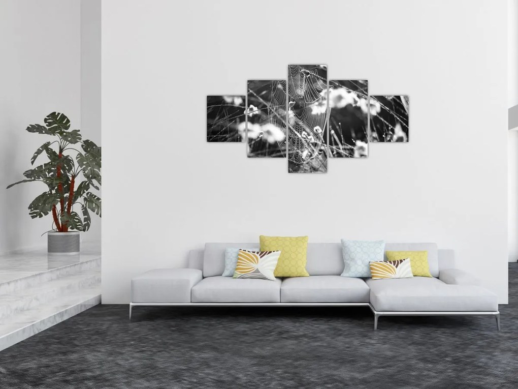 Obraz - Pajęczyna na łące (125x70 cm)