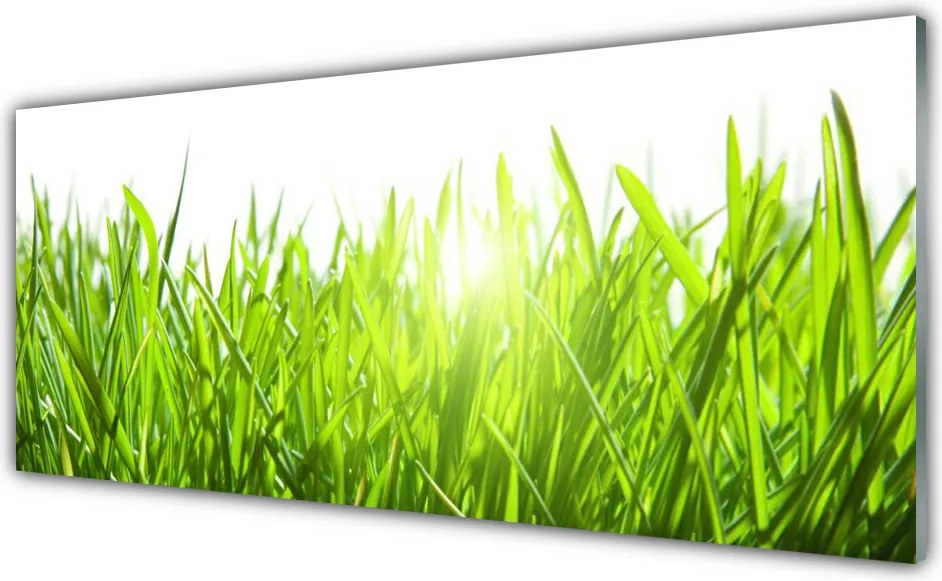Panel Szklany Soczysta Zielona Trawa