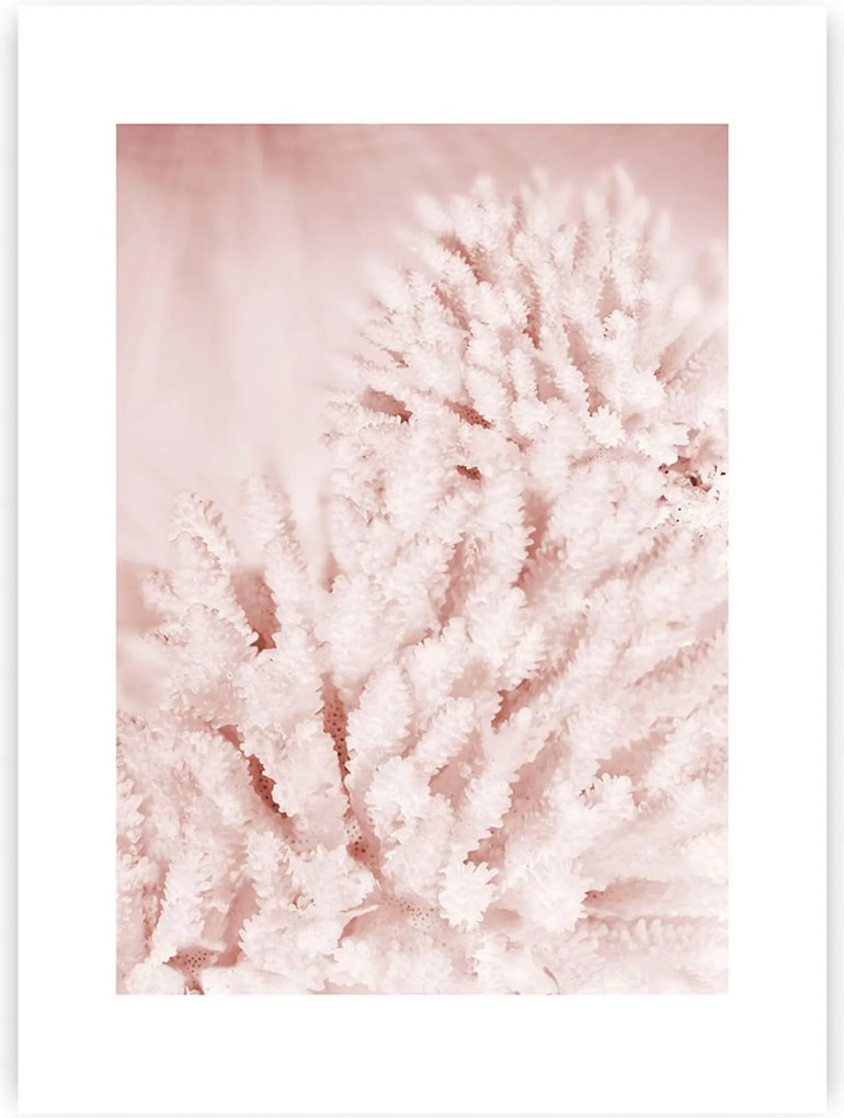 Plakat Pastel Pink II