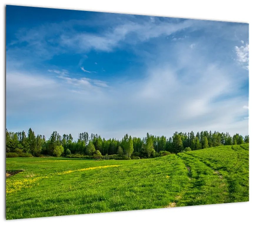 Obraz na szkle - łąka (70x50 cm)