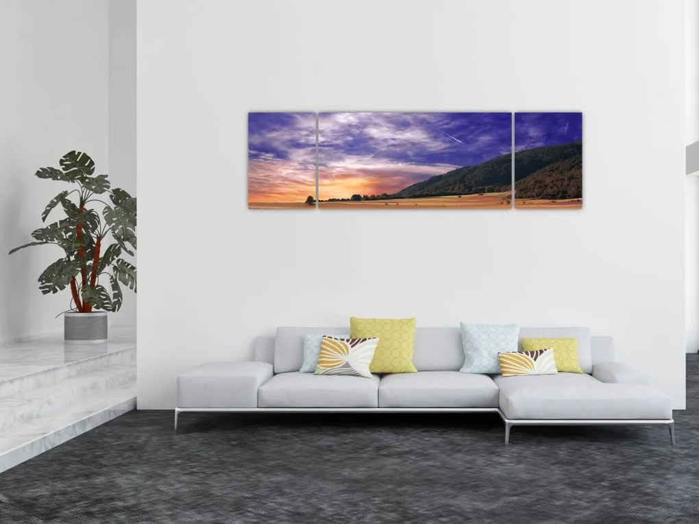 Obraz lawendowej łąki (170x50 cm)