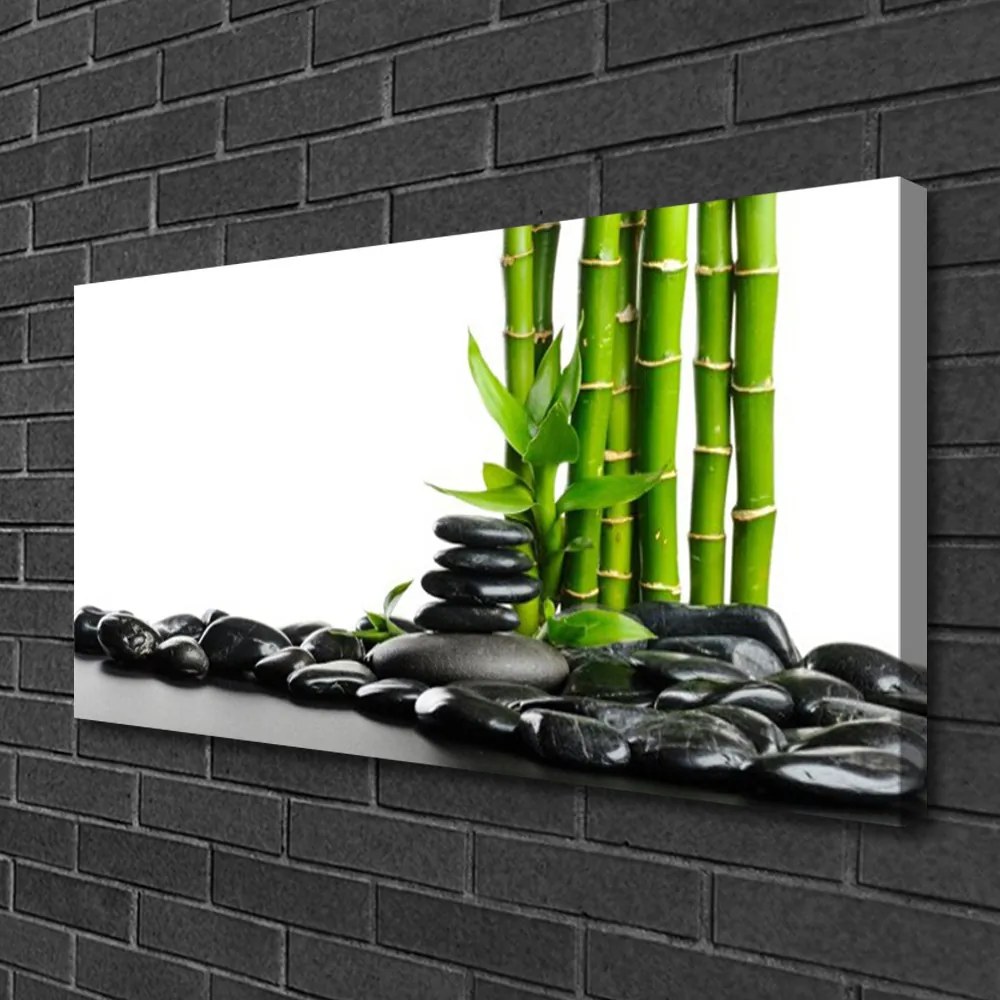 Obraz na płótnie Artystyczne Pędy Bambusa