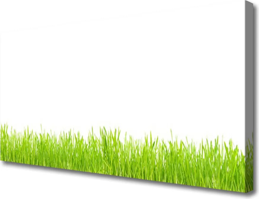 Obraz drukowany na płótnie Soczysty Naturalny Trawnik
