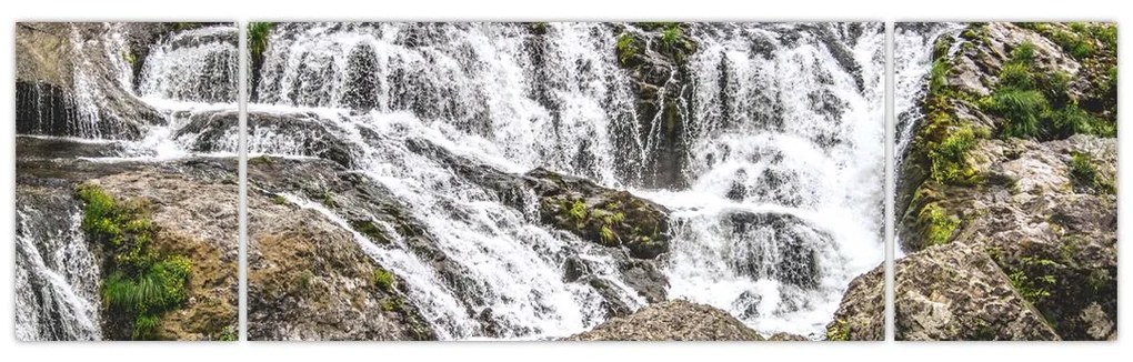 Obraz - Rapids (170x50 cm)