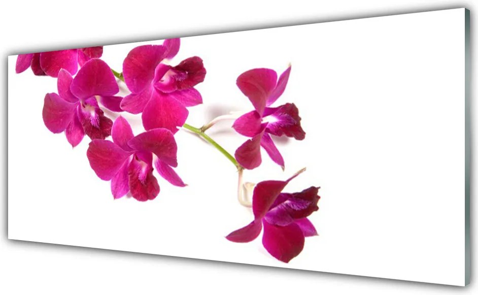 Szkło do Kuchni na Ścianę Wiosenny Powiew Kwiatowy