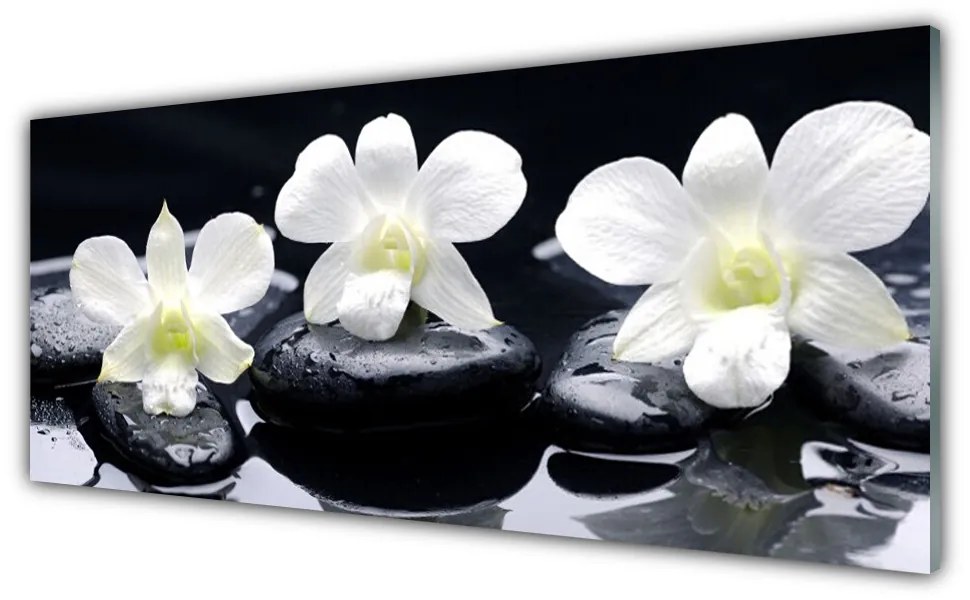 Obraz na Szkle Orchidea Kamienie Roślina