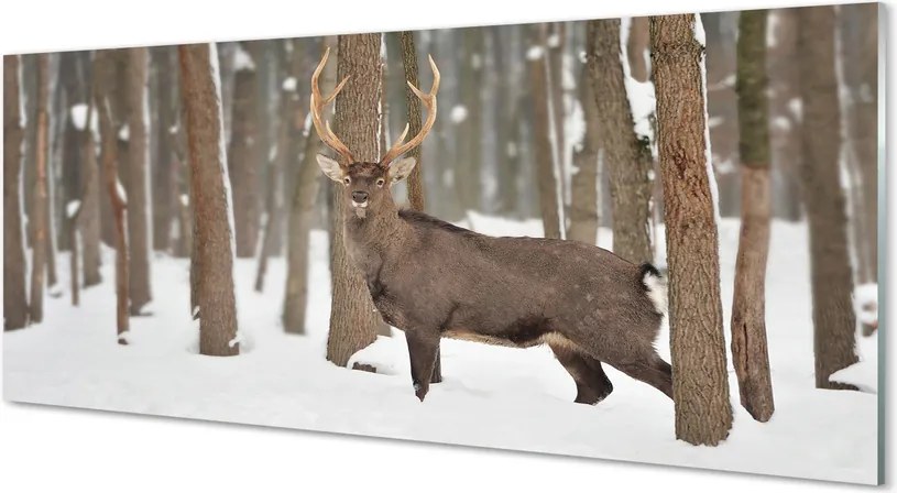 Panel nad Blat Kuchenny Zimowy Trop Jelenia w Lesie