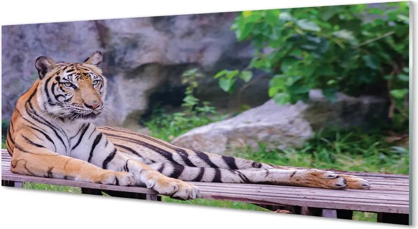 Szkło do Kuchni na Ścianę Majestatyczny Tygrys na Wybiegu
