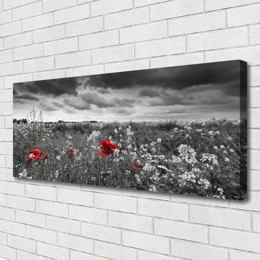 Obraz canvas na ścianę Sielska Polana Kwiatowa