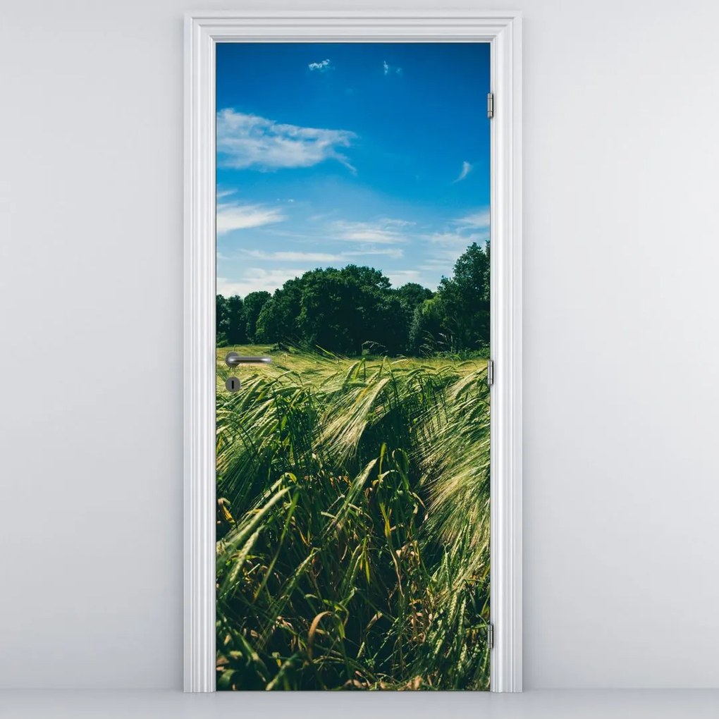 Fototapeta na drzwi - Łąka i las (95x205cm)