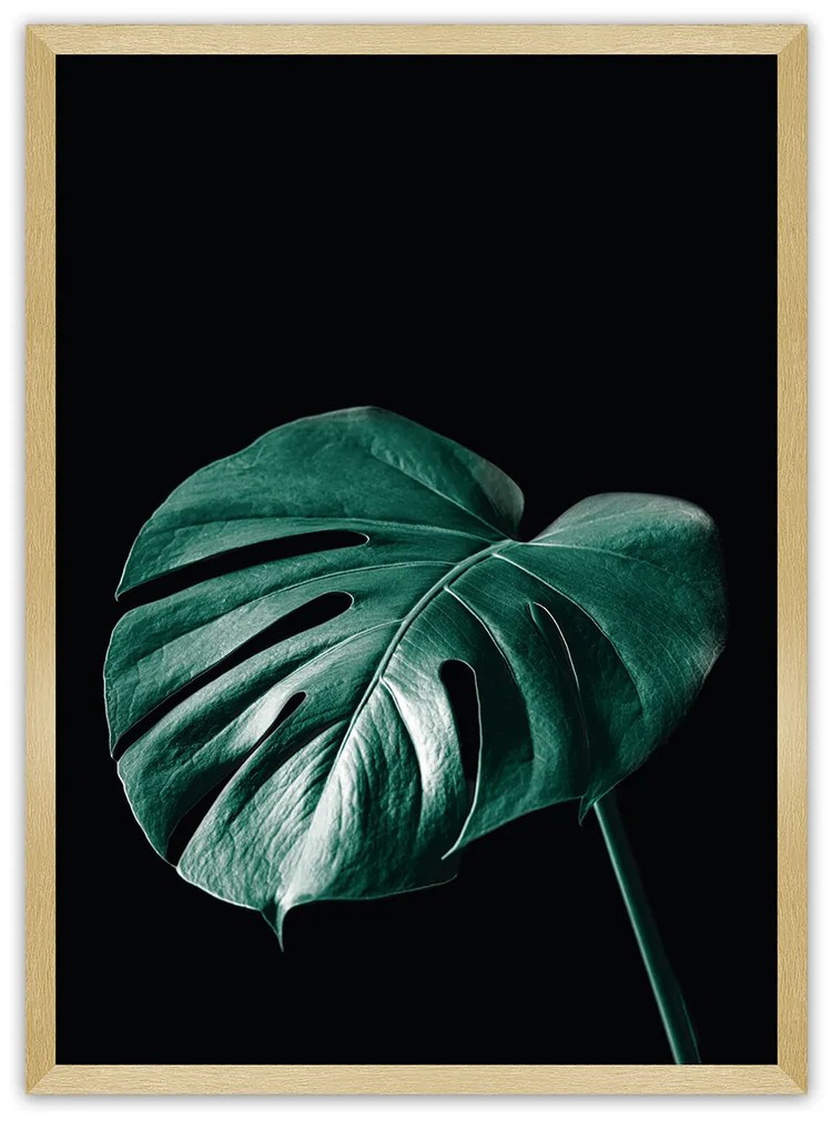 Plakat Dark Monstera