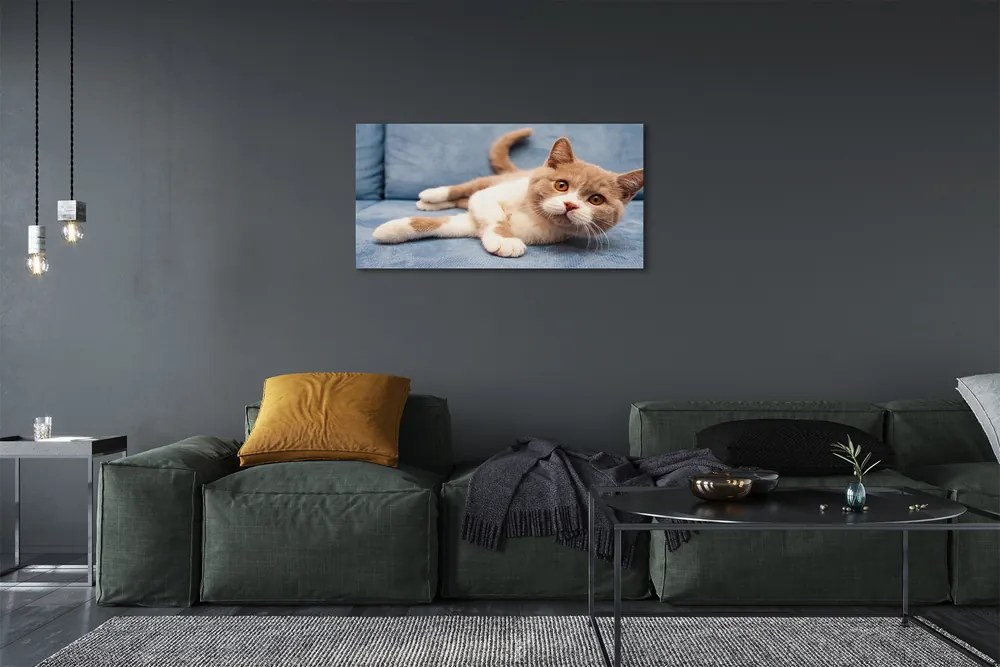 Duży obraz na płótnie Kot w Pozycji Leżącej