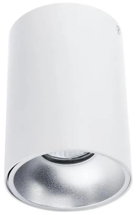 Oświetlenie punktowe TUBA 1xGU10/50W/230V biały