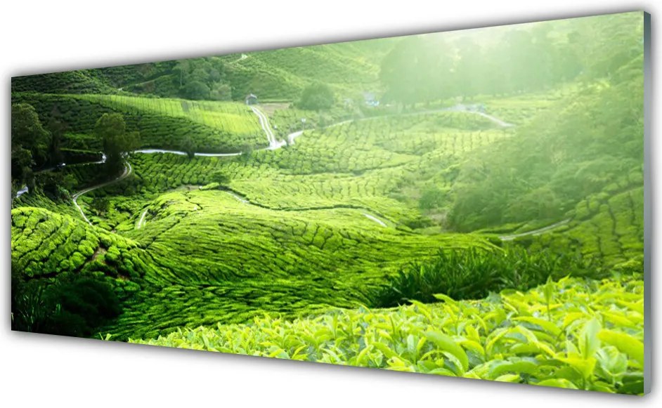 Panel Kuchenny Zieleń Naturalnej Łąki