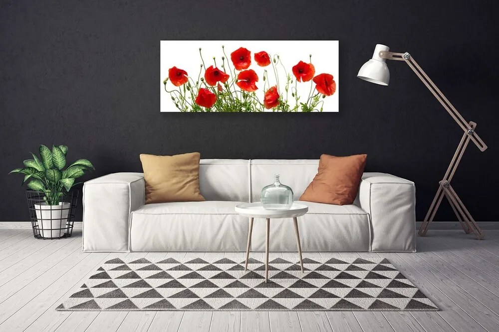 Obraz canvas na ścianę Polne Maki w Rozkwicie