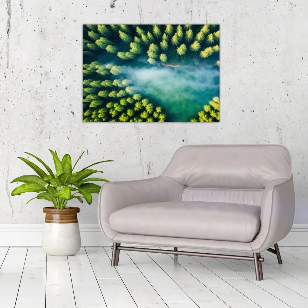 Obraz na szkle - Las spowity mgłą (70x50 cm)