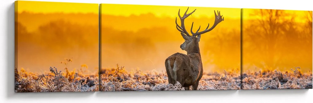 Obraz - Jeleń o wschodzie słońca (170x50 cm)