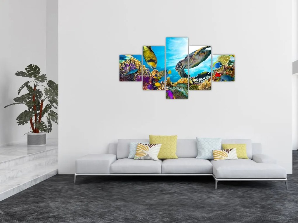 Obraz rafy koralowej (125x70 cm)