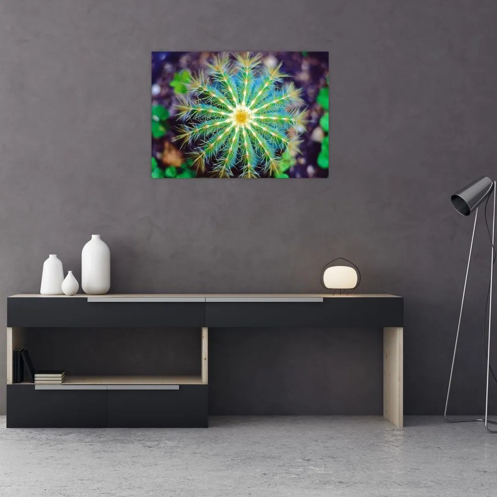 Obraz na szkle - kaktus (70x50 cm)