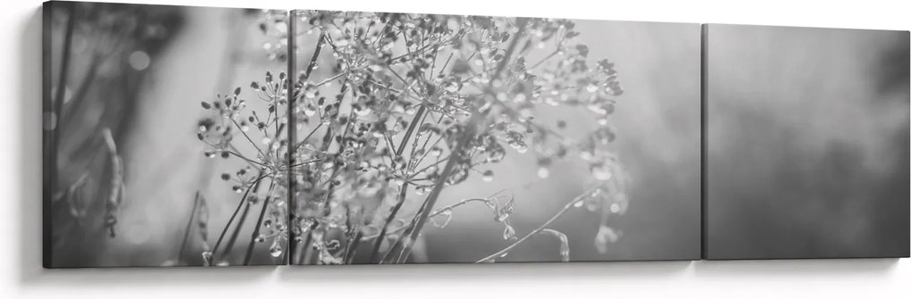Obraz - Łąka po deszczu (170x50 cm)