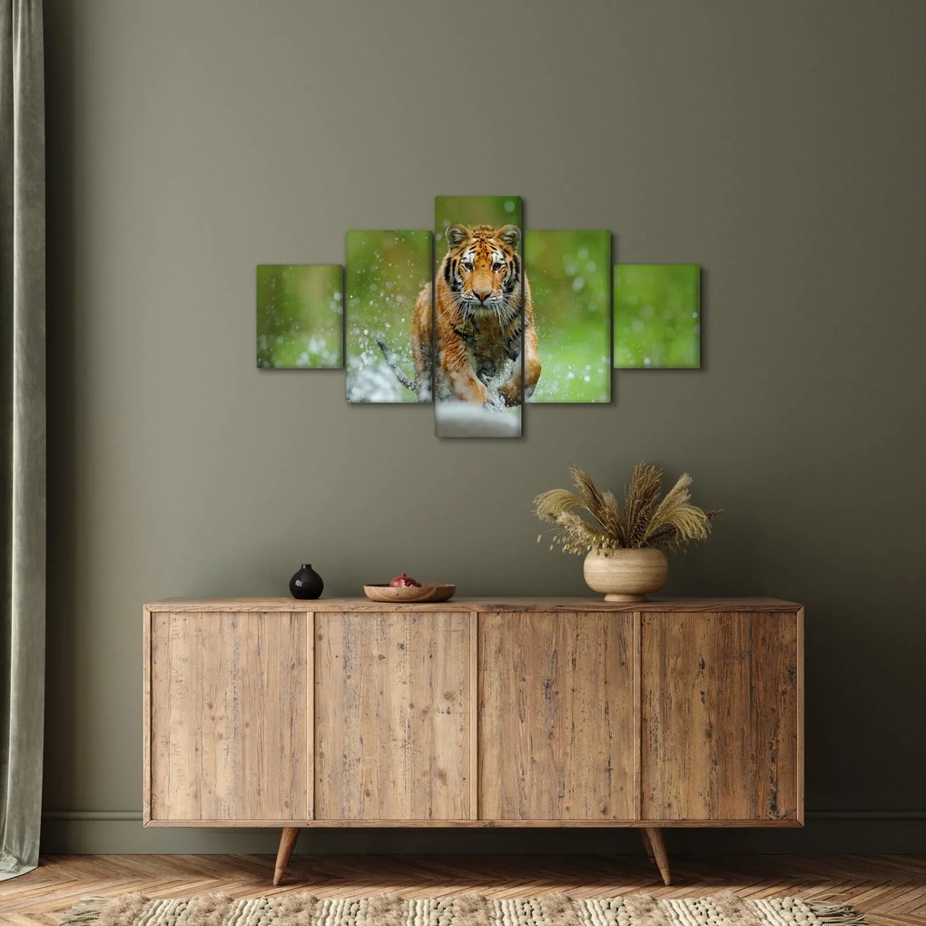 Obraz - Biegnący tygrys (125x70 cm)